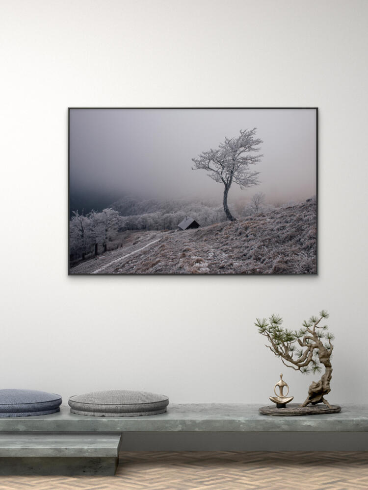 Samota – Zimná krajina na Ploskej, Veľká Fatra - Image 2