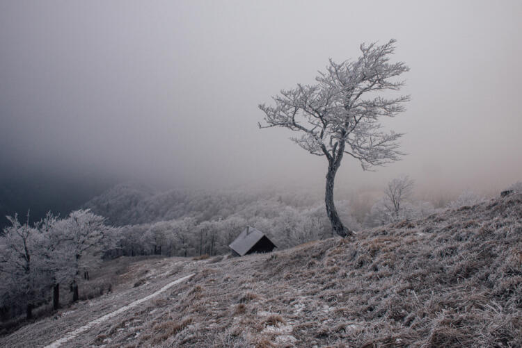 Samota – Zimná krajina na Ploskej, Veľká Fatra